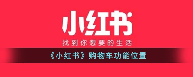 小红书的购物车在哪里-小红书购物车功能位置