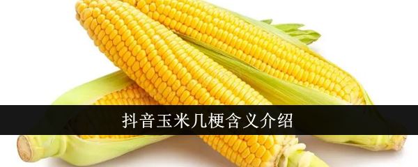 抖音玉米几是什么意思 抖音玉米鸡梗含义介绍