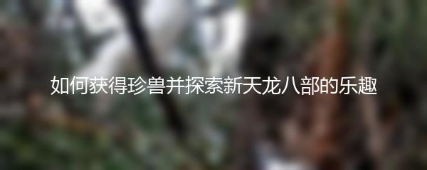 如何获得珍兽 探索新天龙八部的乐趣